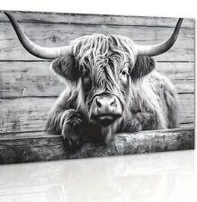 HIGHLAND COW ANIMAL CANVAS PICTURE PRINT WALL ART UNFRAMED BLACK & WHITE  11