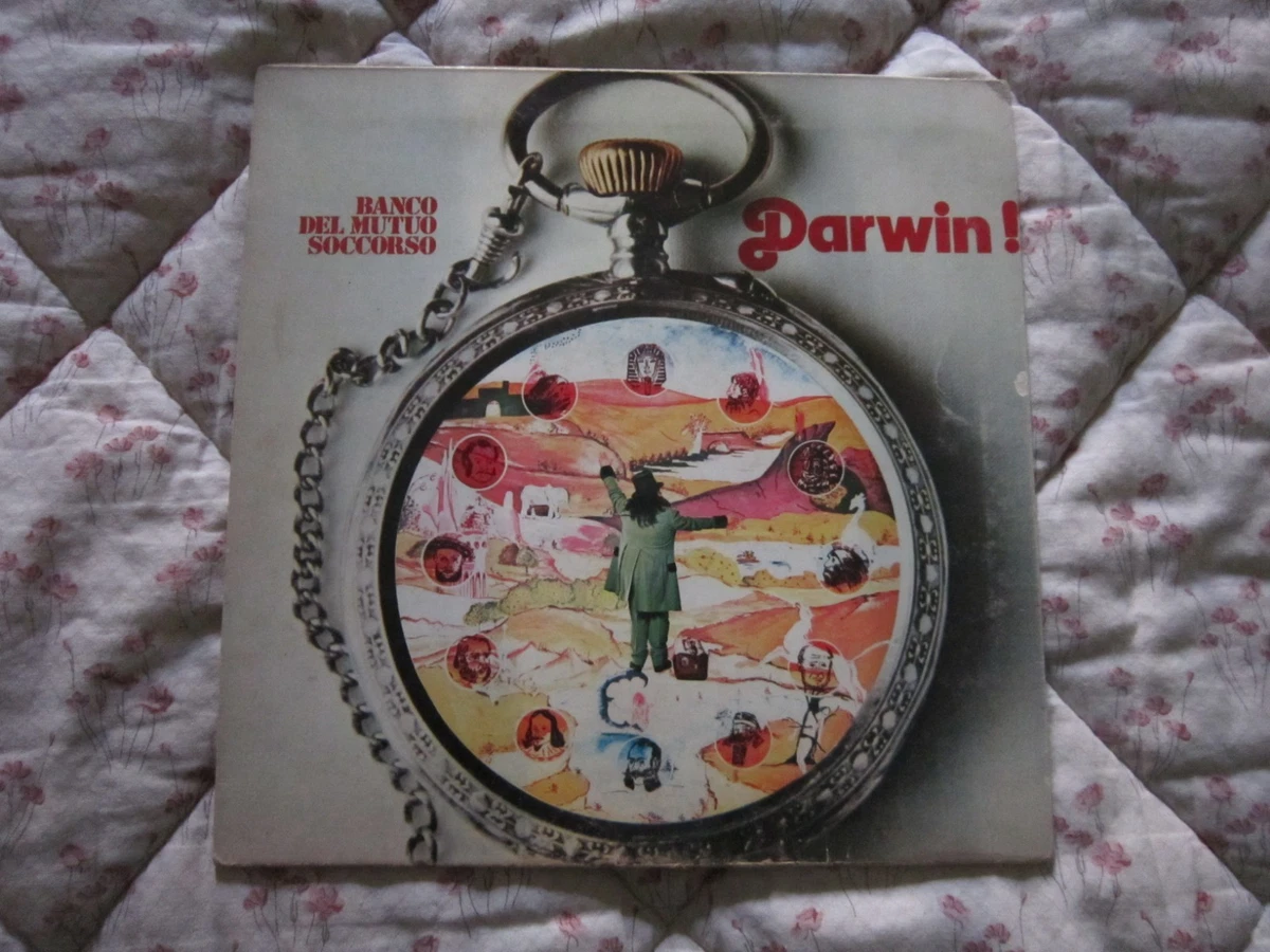 Banco del mutuo soccorso | Acquisti Online su eBay