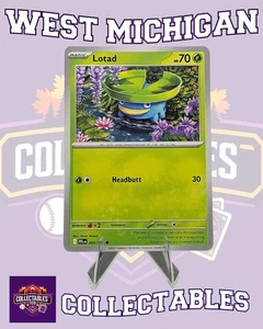 Lotad 005/094 Me02: Phantasmal Flames Regular - Picture 1 of 1
