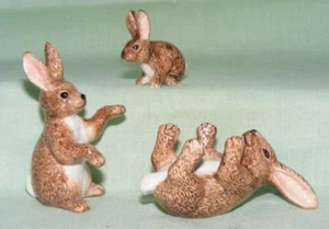 Figuras de animales de porcelana en miniatura Klima familia conejo marrón M111 - Imagen 1 de 1