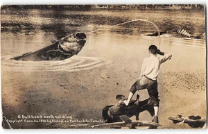 RPPC "Bull-head worth catching" Fishing Exaggeration 1910 Canada Postcard - Picture 1 of 2
