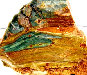 7oz Gary Green Jasper Bog Wood Larsonite Caldera Freedom Stone Rough Natural - Picture 1 of 8