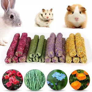 20 Pcs Rabbit Chew Toys Timothy Grass Carrot Sticks for Guinea Pig Hamster Bunny - Picture 1 of 11