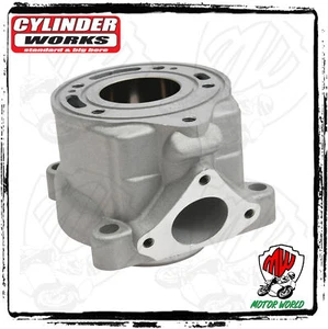 CILINDRO STD CYLINDER WORKS Ktm 50 SX / SXS 2018 - Imagen 1 de 1