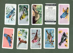 Tarjetas de comercio/cigarrillo Song Birds of North America - Imagen 1 de 5