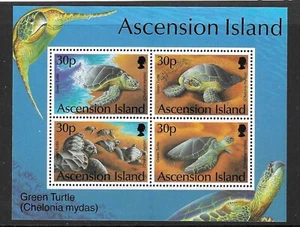ASCENSION SGMS628 1994 GREEN TURTLES MNH - Picture 1 of 1