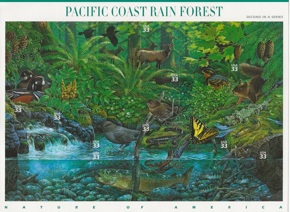 PACIFIC COAST RAIN FOREST STAMP SHEET -- USA 33 CENT - Image 1 of 1