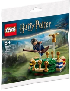 Lego Harry Potter Quidditch Practice Polybag Set 30651 - Picture 1 of 1