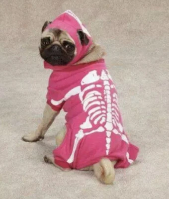 NOVO Fantasia de Cachorro Ossos Brilhantes Rosa Skelton Tamanho M - Imagem 1 de 3