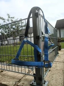 Halfter Weidehalfter Gr. WB weich unterlegt - Bild 1 von 1