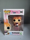 Powerpuff Girls Funko POP  Blossom #1080