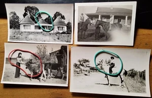Farm Welverdiend - 1927 - 1946 / 4x Photo South Africa - Picture 1 of 2