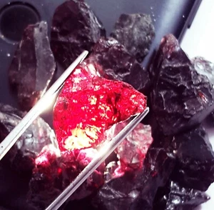 Natural Red Garnet Rough 20 To 30 Ct 1 Pcs. Loose Gemstone With Free Gift - Bild 1 von 13