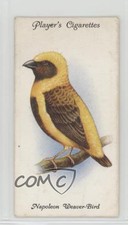 1933 Player's Aviary and Cage Birds Tobacco Napoleon Weaver-Bird #38 a8x