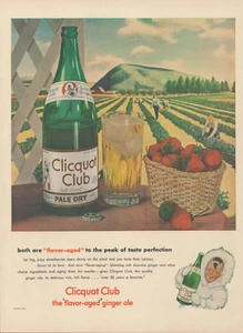 1946 Clicquot Club Ginger Ale Eskimo Boy Strawberry Farm Background Vtg Print Ad - Picture 1 of 1