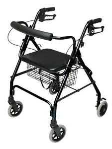 Lumex Lightweight Walkabout Rollator with Seat, 14.5 lb, 6" Wheels - Picture 1 of 11