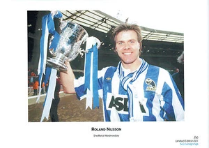 Roland NILSSON Sin Firmar Talla A3 Edición Limitada Impresión Sheffield Wednesday SWFC - Imagen 1 de 1