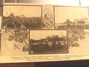 Minnasota Millward Settlement Growers anuncio 1909 postal a102 - Imagen 1 de 2