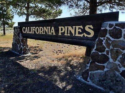 CALIFORNIA PINES (MODOC CO.) Bidding Begins At $ 988 NO RESERVE CASH OR TERMS • 988$