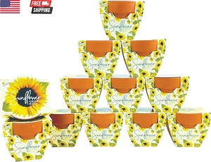 Seeds Terracotta Mini Grow Pots | Herb, Plant, Flower Starter Kit for Kids & Adu - Picture 1 of 6