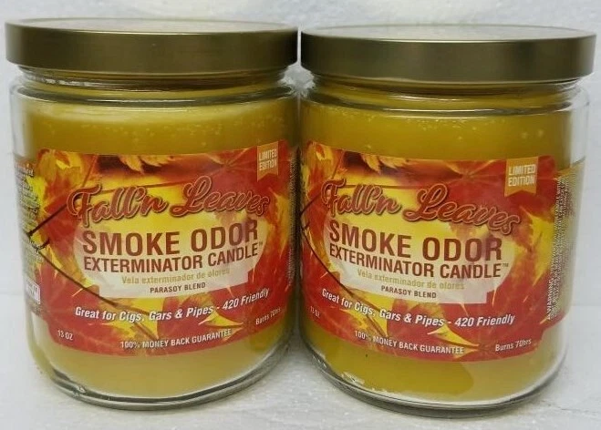 Smoke Odor Exterminator 13oz Jar Candle Fall N Leaves