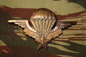 OLD France Legion Airborne Paratrooper Jump Wings Badge B&T 164 No hallmark - Picture 1 of 7