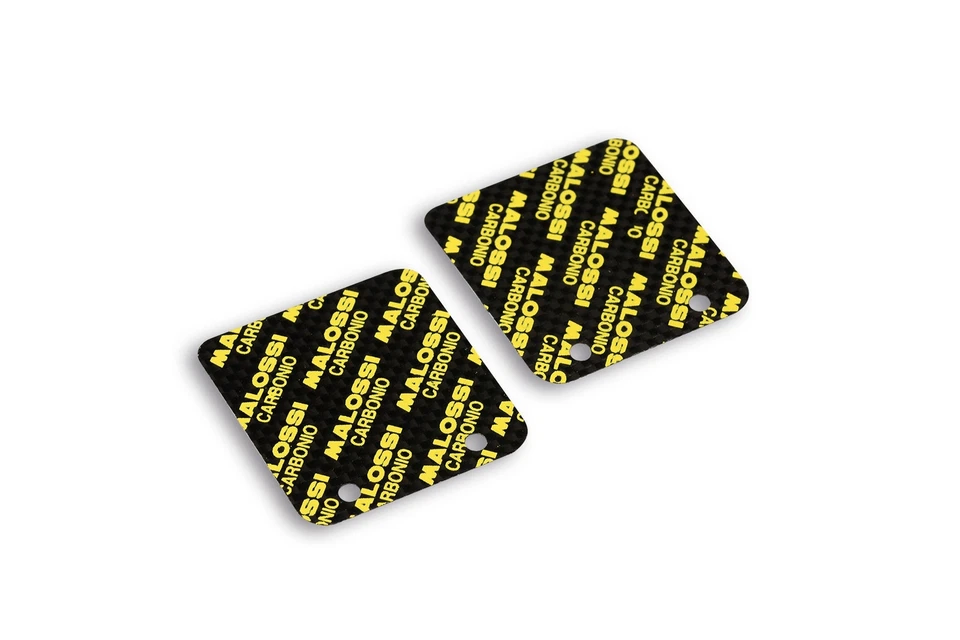 MALOSSI 2 LAMELLE IN CARBONIO CON SPESSORE 0,30 MM - Immagine 1 di 1