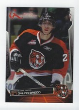 2010-11 Medicine Hat Tigers (WHL) Dylan Bredo