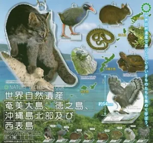 Nature Techni ColorWorld Amami Oshima N. Okinawa & Iriomote Acryl Japan Maskottchen - Bild 1 von 2