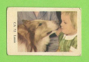 1962 Dutch Gum Card CA #72 Lassie