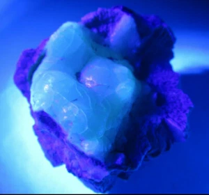 GEM BLUE HYALITE OPAL VERY RARE UNIQUE NATURAL UV REACTIVE CRYSTAL GEODE NODULE - Picture 1 of 12