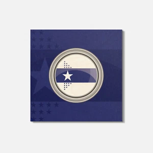 Illinois Centennial USA State Flag Silver 4'' X 4'' Square Wooden Coaster - Picture 1 of 3