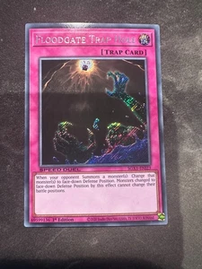 Floodgate Trap Hole - SGX1-ENI23 - Secreto Raro - 1ª Edición - Speed Duel N/M - Imagen 1 de 2