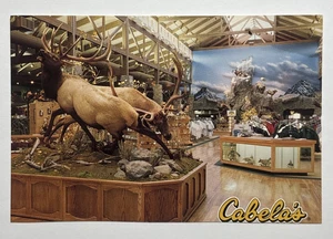 Cabelas The Worlds Foremost Outfitter Sidney Nebraska Catalog Showroom Postcard - Picture 1 of 2