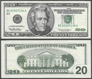 1999 US $20 Twenty Dollar Bill 'Monochrome' Note (Richmond Federal Reserve) - Picture 1 of 8