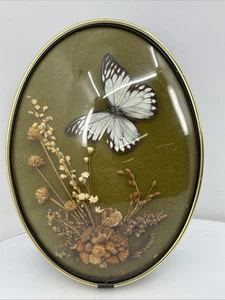 Vintage Cideart Belgium Straw Flowers Domed Frame Large Butterfly Rare Art - Picture 1 of 4