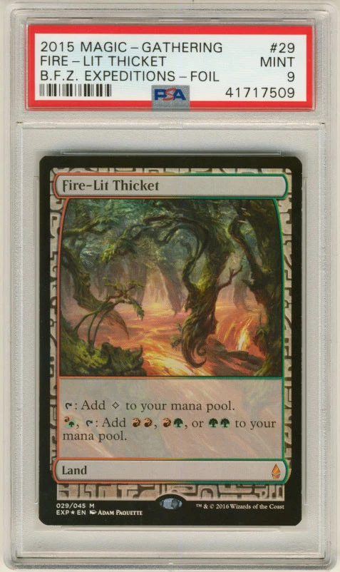MAGIC MTG EXPEDITIONS FIRE - LIT THICKET #29 FOIL PSA 9 MINT #*  - Image 1 of 1