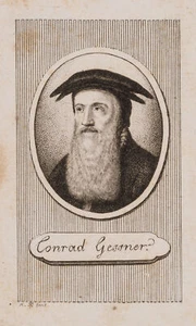 H. PFENNINGER (*1749), Portrait des Conrad Gessner, um 1800, KSt. Biedermeier - Bild 1 von 4