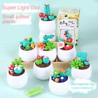 Cactus Clay Succulent Potted Plants Children Craft Toy Flower Handmade;