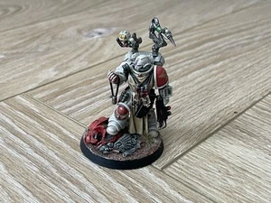 Warhammer 40K Silver Templars Space Marine Primaris Apothecary Pro painted GW - Picture 1 of 9