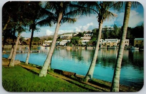 Postcard Bermuda Government Aquarium Flatts Inlet and Village Palm Trees - Bild 1 von 2