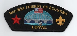 Baltimore Area Council CSP, SA-14, FOS Loyal CSP, Black Brd, Cloth Back. Mint! - Picture 1 of 1