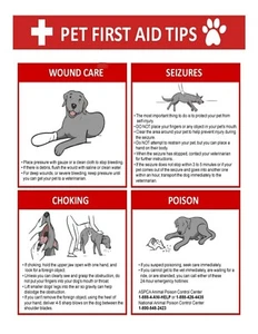 FIRST AID TIPS POSTER - GLOSSY PAPER - NON-LAMINATED - MADE IN USA - Picture 1 of 1