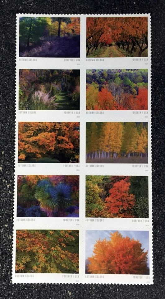 2024USA #5929-5938b Forever Autumn Colors - Block of 10  mint - Image 1 of 1