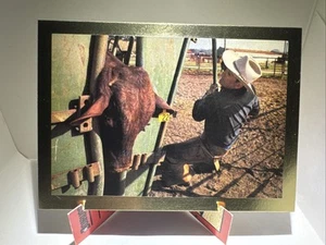 Nolan Ryan New Texas Rangers Home on The Range (c) NM - Picture 1 of 2