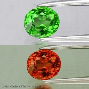 💎 0,63ct 5,5x4,8mm VS Oval Natur Grün Chrom Turmalin - Unbeheizt, Tansania - Bild 1 von 6