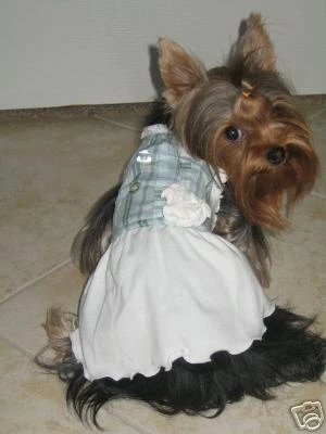 BOOTS & BARKLEY CLASSIC DOG DRESS W/G M - Изображение 1 из 1