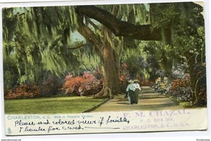 CPA-Carte postale-Etats-Unis -Charleston -Walk in Magnolia Gardens - 1907 - Picture 1 of 1