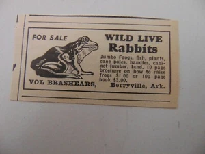 1951 WILD LIVE RABBITS JUMBO FROGS For Sale small vintage art print ad - Picture 1 of 1