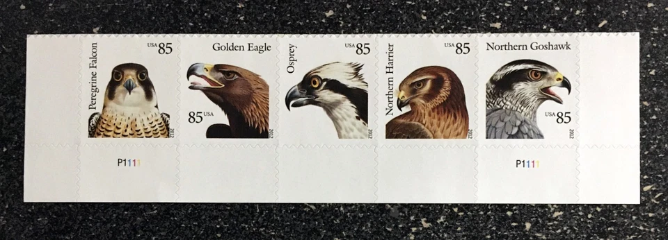 2012USA #4608-4612 85c Birds of Prey - Bottom Plate Strip of 5    Mint - Image 1 of 1